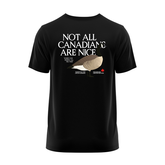 Unisex Midweight Cotton Goose Tee 2.0