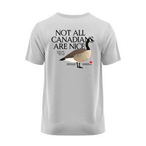 Unisex Midweight Cotton Goose Tee 2.0